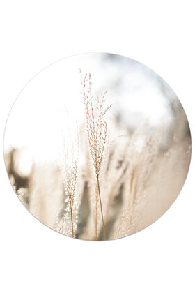 Muurcirkel (binnen) foto grassen - 3 formaten