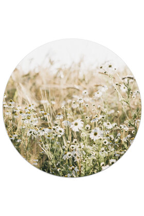 Muurcirkel (binnen) foto bloemenveld - 3 formaten