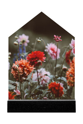 Huisje met foto dahlia's