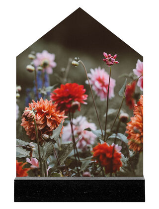 Huisje met foto dahlia's