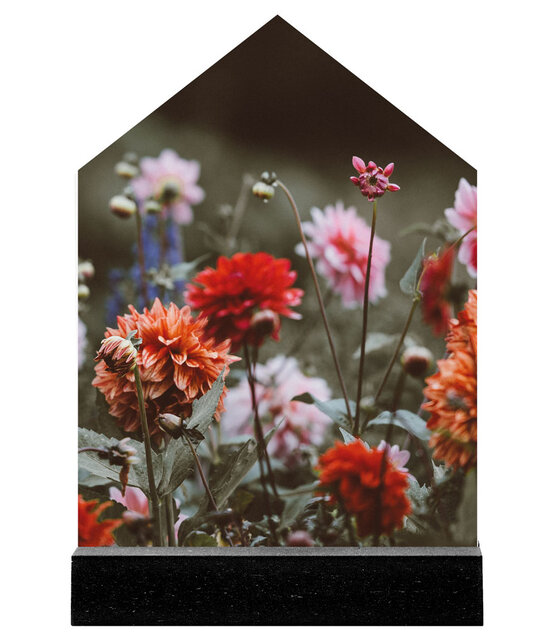 Huisje met foto dahlia's