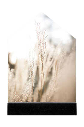 Huisje met foto pluimen