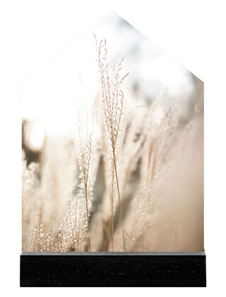 Huisje met foto pluimen