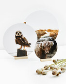 Muurcirkel standaard blank hout - 11cm