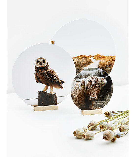 Muurcirkel standaard blank hout - 11cm