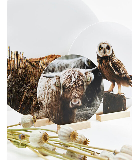 Muurcirkel standaard blank hout - 9cm Muurcirkel standaard blank hout - 9cm