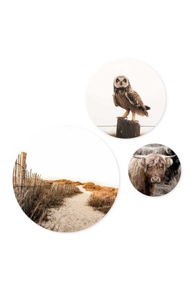 Set van 3 muurcirkels (binnen) - met foto's