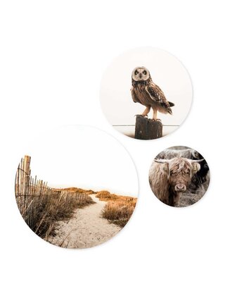 Set van 3 muurcirkels (binnen) - met foto's