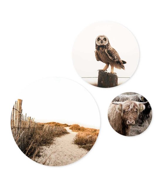 Set van 3 muurcirkels -   foto's - 3 verschillende maten