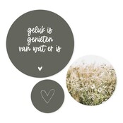 Set van 3 muurcirkels - groen 'Geluk is genieten van wat er is' - 3 verschillende maten Set van 3 muurcirkels - groen 'Geluk is genieten van wat er is' - 3 verschillende maten