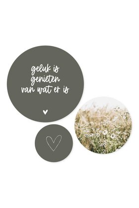 Set van 3 muurcirkels (binnen) - groen 'Geluk is genieten van wat er is'
