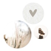 Set van 3 muurcirkels - beige natuur - 3 verschillende maten