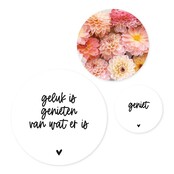 Set van 3 muurcirkels - wit 'Geluk is genieten van wat er is' - 3 verschillende maten Set van 3 muurcirkels - wit 'Geluk is genieten van wat er is' - 3 verschillende maten