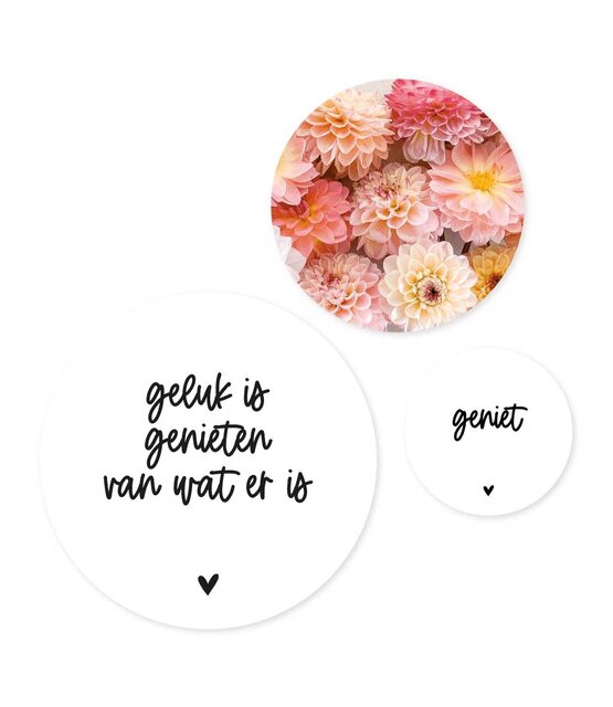Set van 3 muurcirkels - wit 'Geluk is genieten van wat er is' - 3 verschillende maten Set van 3 muurcirkels - wit 'Geluk is genieten van wat er is' - 3 verschillende maten
