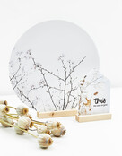 Huisje foto gedroogde lunaria