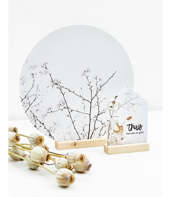 Huisje foto gedroogde lunaria