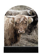 Forex tegeltje boogvorm - Schotse hooglander