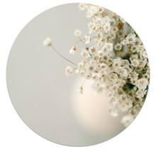 Muurcirkel met foto vaas met bloemen - LICHT BESCHADIGD