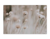 Inductiebeschermer - beige met bloemen Inductiebeschermer - beige met bloemen