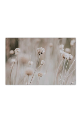 Inductiebeschermer - beige met bloemen