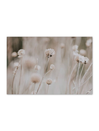 Inductiebeschermer - beige met bloemen