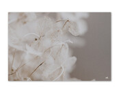 Inductiebeschermer - beige lunaria Inductiebeschermer - beige lunaria