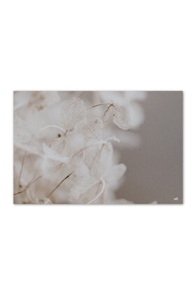 Inductiebeschermer - beige lunaria