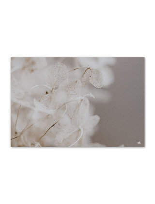 Inductiebeschermer - beige lunaria