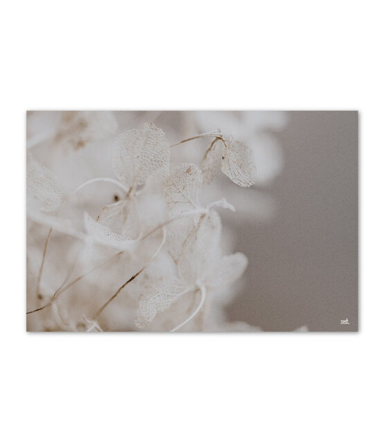 Inductiebeschermer - beige lunaria Inductiebeschermer - beige lunaria