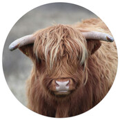 Muismat vinyl - afbeelding Schotse hooglander 25cm