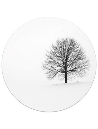 Muurcirkel (binnen) foto boom - 3 formaten