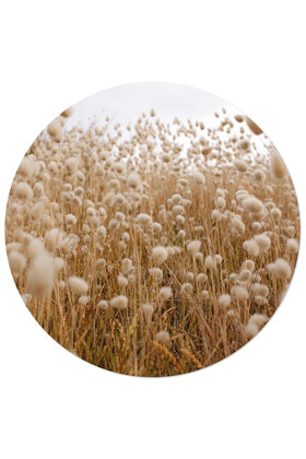 Muurcirkel (binnen) foto rietveld - 3 formaten