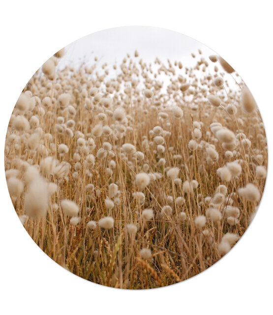 Muurcirkel foto rietveld