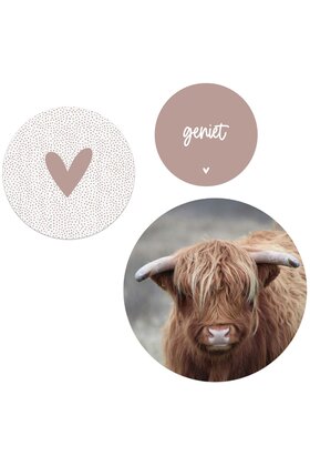 Set van 3 muurcirkels (binnen) - oudroze Schotse hooglander