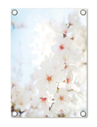 Tuinposter foto met bloesem