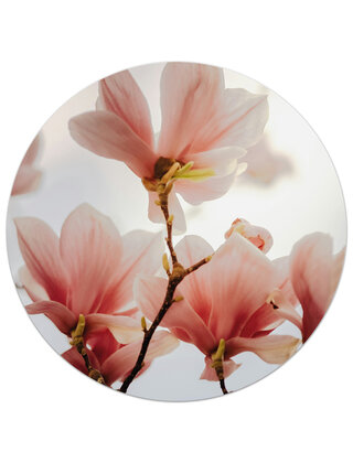 Tuincirkel (buiten) foto magnolia