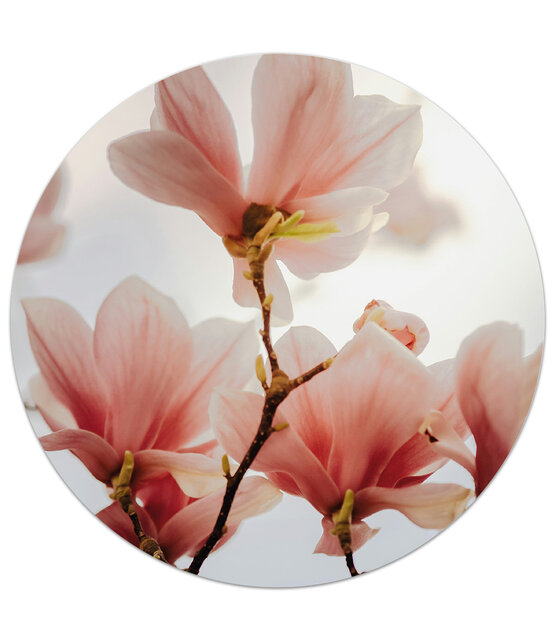Tuincirkel/muurcirkel foto met magnolia perfect als wanddecoratie voor buiten en binnen Tuincirkel/muurcirkel foto met magnolia perfect als wanddecoratie voor buiten en binnen