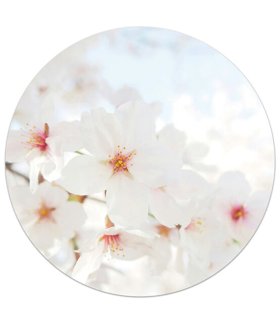 Tuincirkel/muurcirkel foto bloesem perfect als wanddecoratie voor buiten en binnen