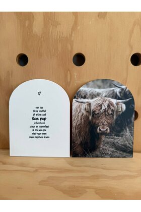 Magazijn sale - Set van 2 forex huisjes (14cm) SET6