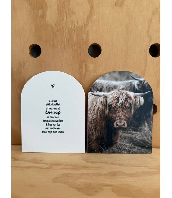 Magazijn sale - Set van 2 forex huisjes (14cm) SET6