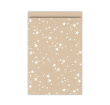 Cadeauzakjes set van 5 - kraft met witte sterren