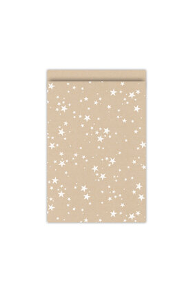 Cadeauzakjes kerst set van 5 - kraft met witte sterren
