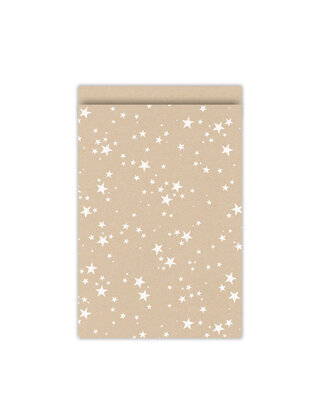 Cadeauzakjes kerst set van 5 - kraft met witte sterren