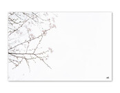 Inductiebeschermer voor inductieplaat – foto bloesem – bescherming & decoratie