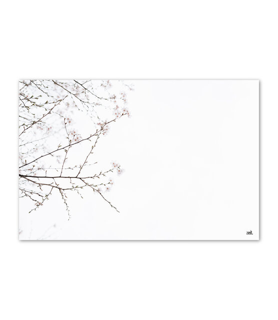 Inductiebeschermer voor inductieplaat – foto bloesem – bescherming & decoratie