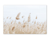 Inductiebeschermer voor inductieplaat – foto rietveld – bescherming & decoratie