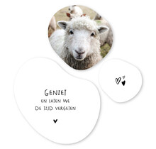 Set van 3 organische muurcirkels met tekstjes en foto – Unieke wanddecoratie voor binnen (20, 30 en 40 cm)