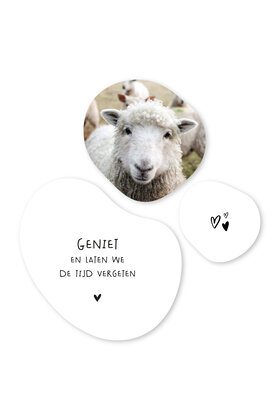 Set van 3 organische muurcirkels –Wit met tekstjes en foto schaap