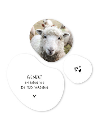 Set van 3 organische muurcirkels –Wit met tekstjes en foto schaap
