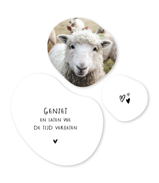 Set van 3 organische muurcirkels met tekstjes en foto – Unieke wanddecoratie voor binnen (20, 30 en 40 cm)